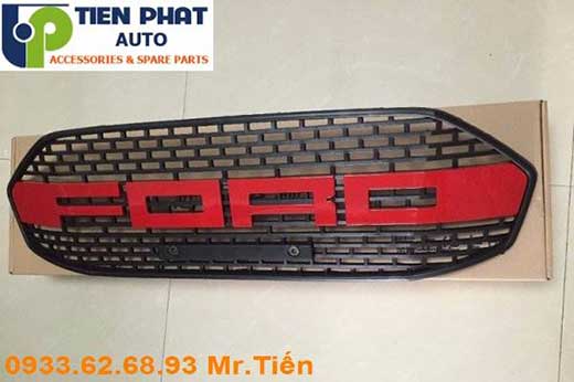 Lắp Mặt Ca Lăng Độ Cho Xe Ford Ecosport 2015-2016 Tại Tp.Hcm